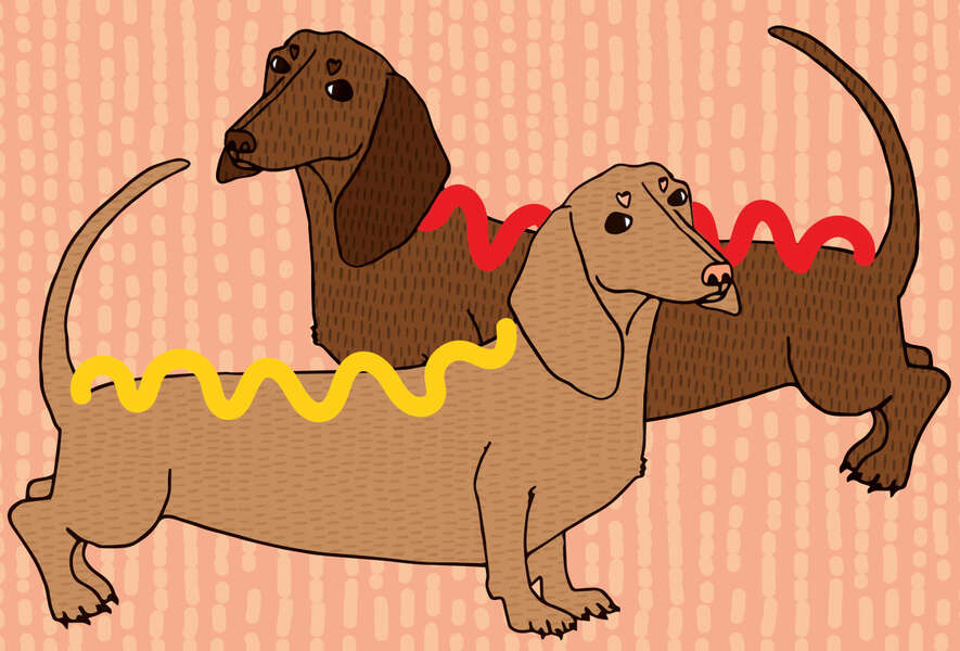 All The Best Hot Dog Toppings, Ranked Thrillist