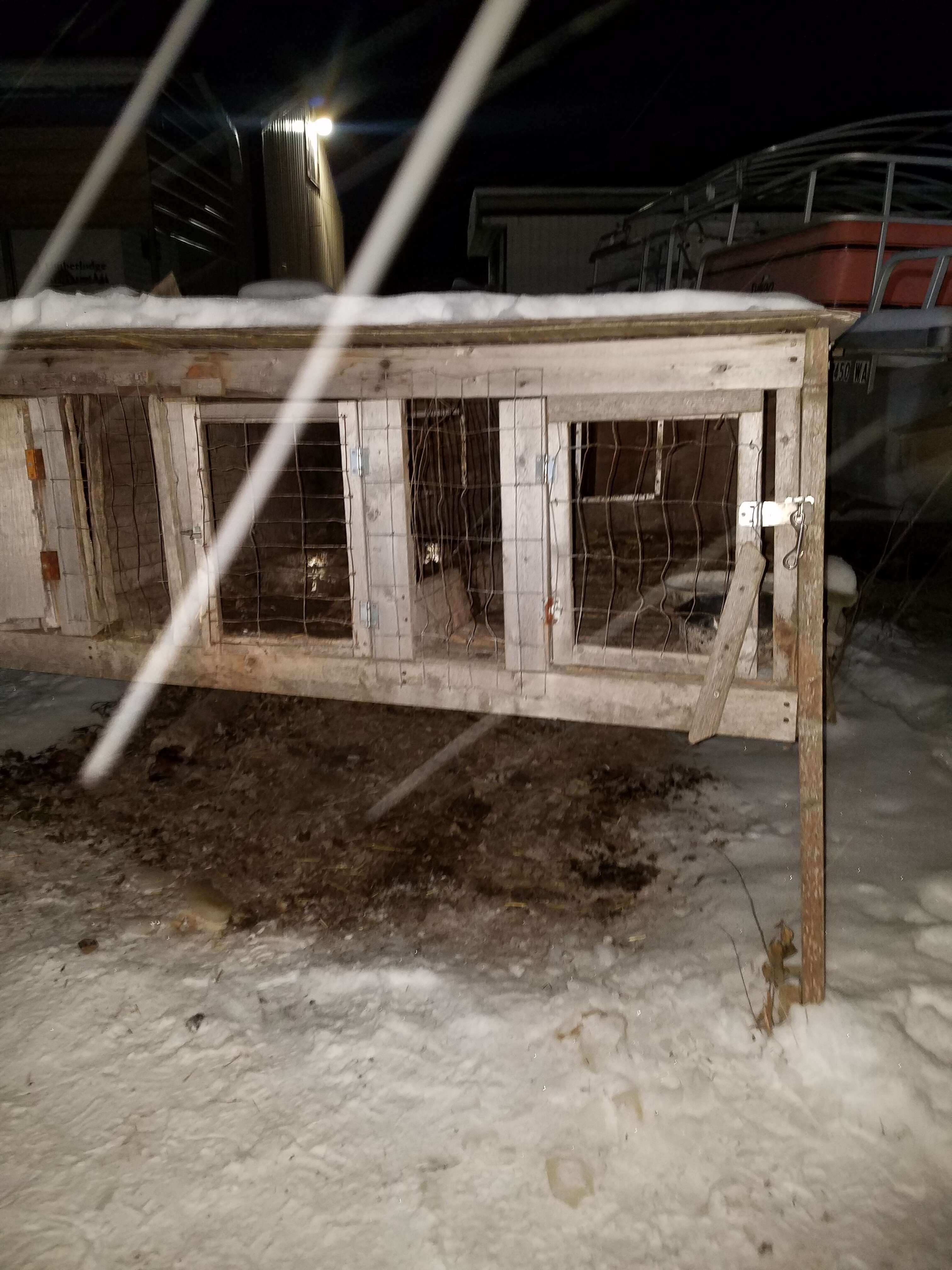 Rabbit hutch in snowy backyard