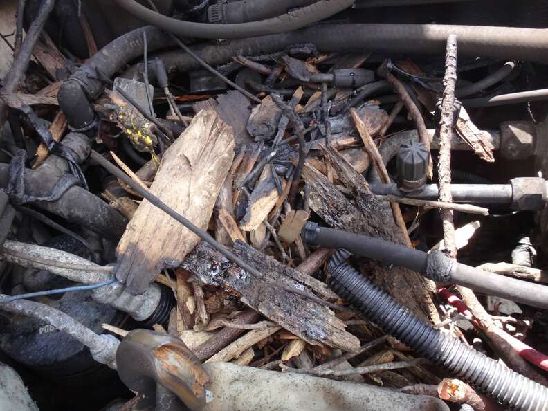 A car engine covered in sticks and twigs