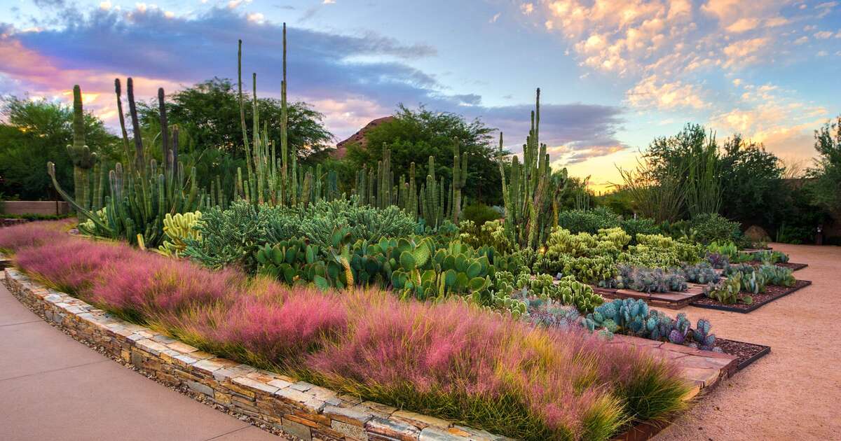 Best Date Ideas in Phoenix Fun & Romantic Activities for Date Night