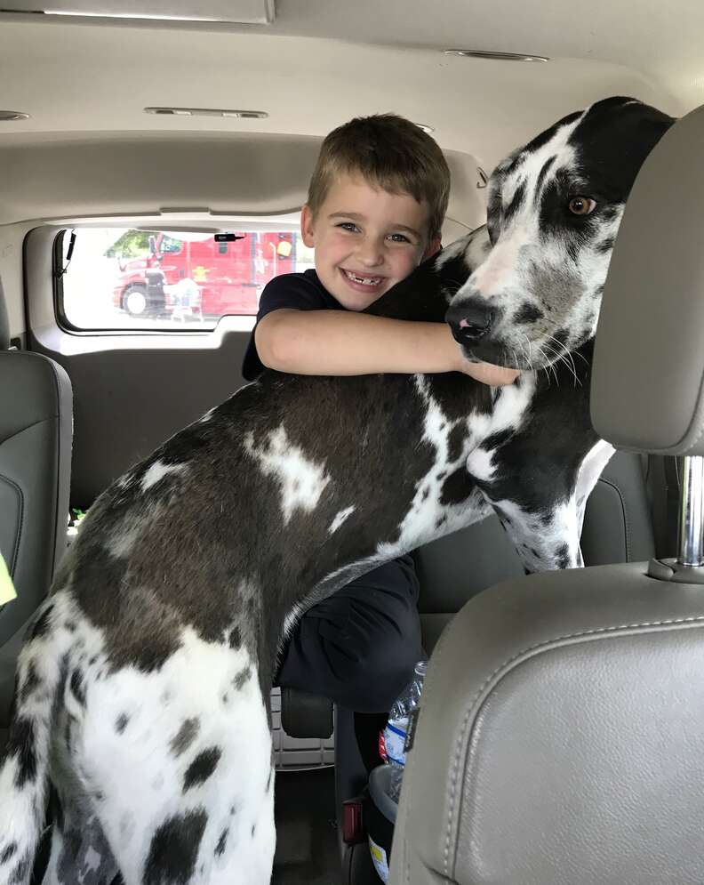 Travis the first grader and his new adopted dog