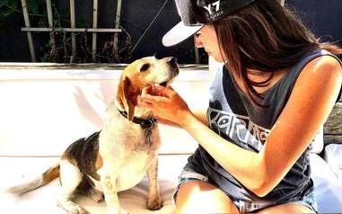 meghan markle rescue dog guy