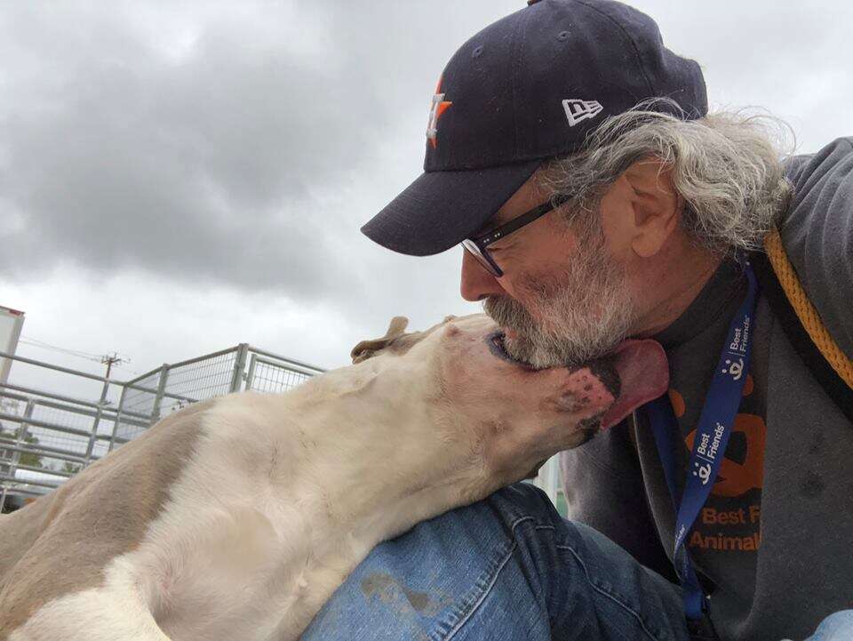Dog licking man's neck