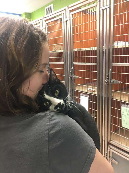 Woman holding hugging cat in her arms