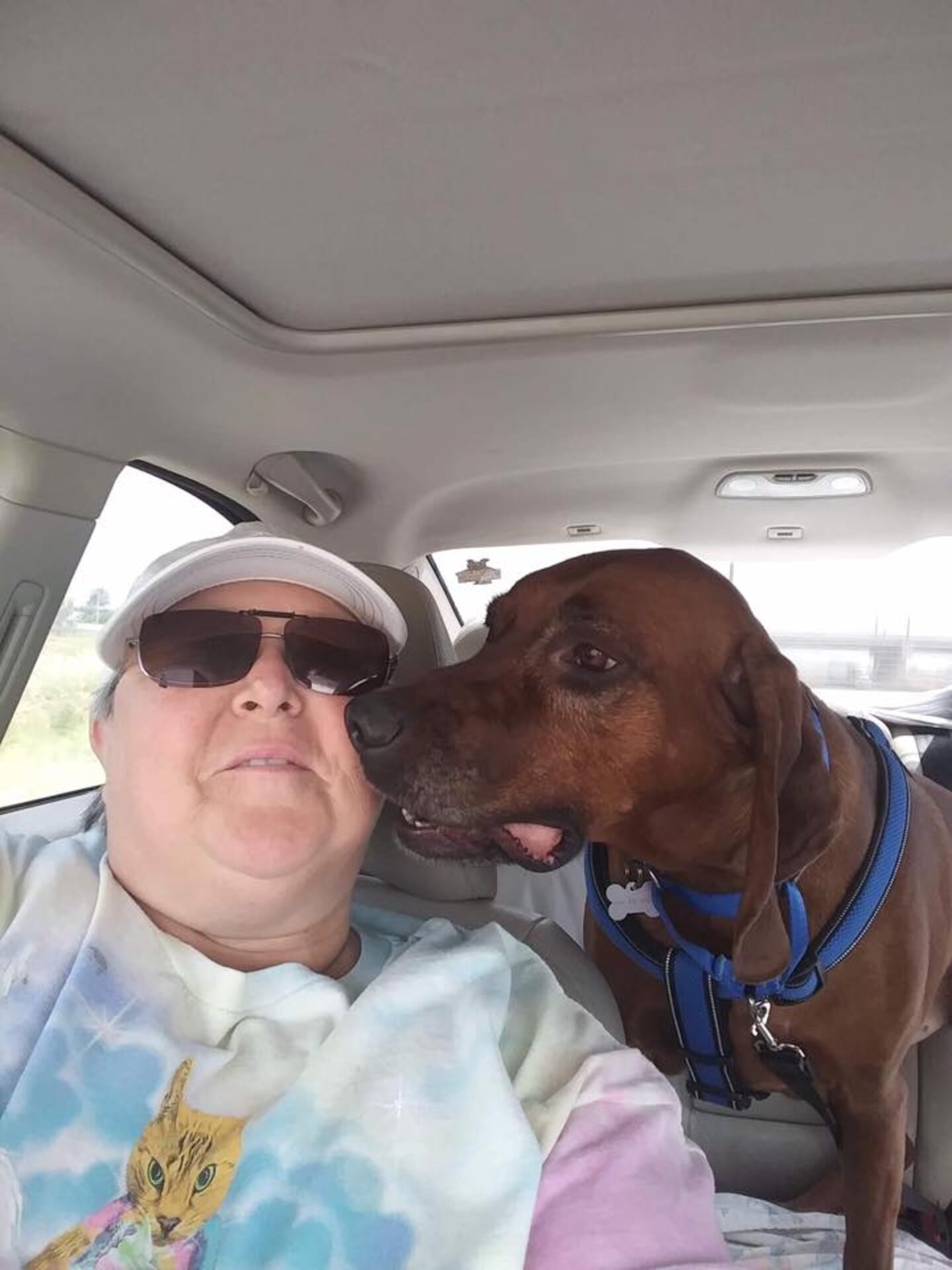 Lost Dog Who Traveled 2,000 Miles From Home Reunites With Family - The Dodo