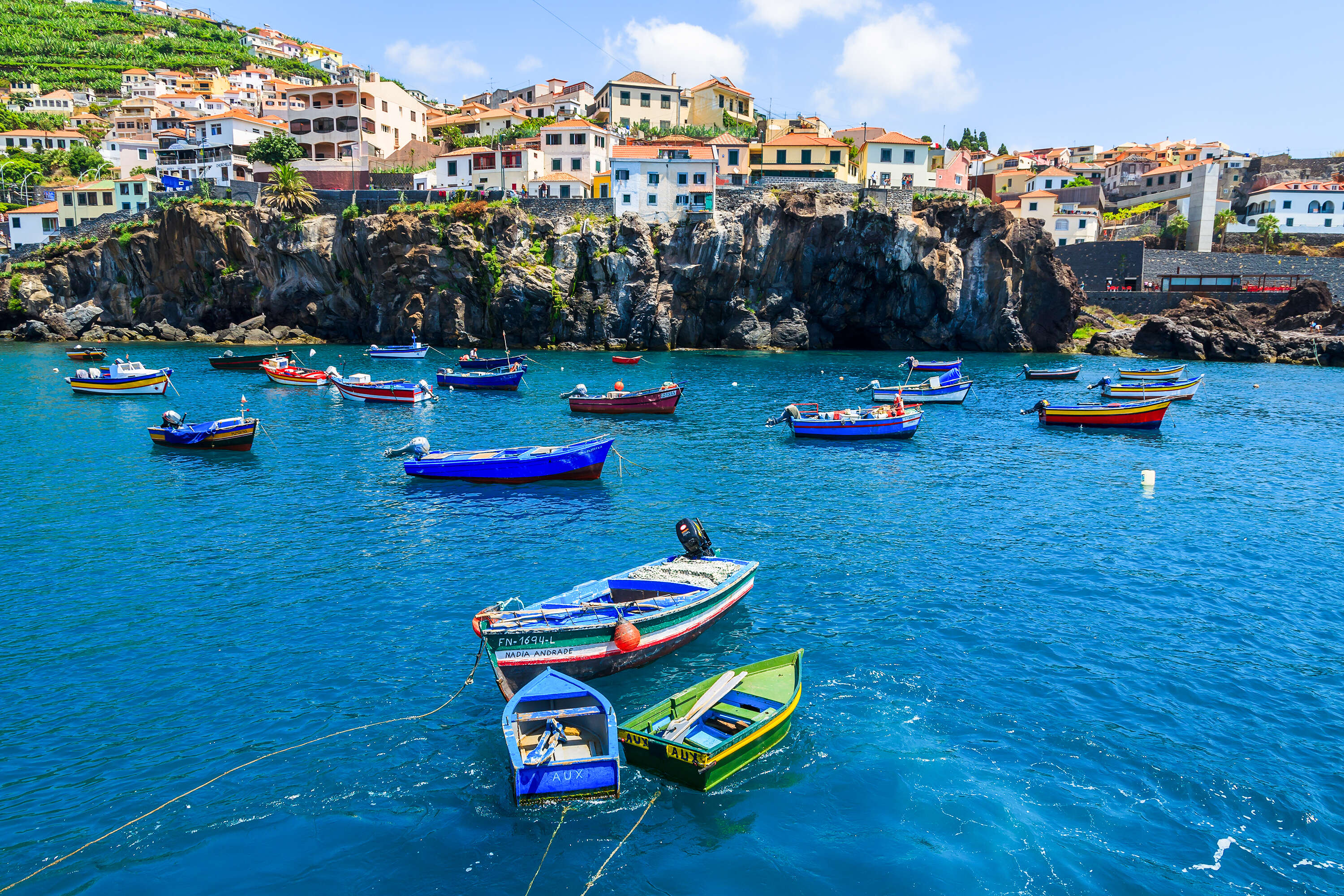 Camara de lobos 