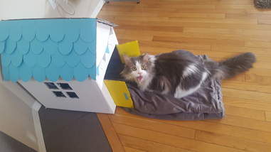 woman builds her rescue cat a special playhouse