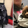 Woman Sees Abandoned Backpack Moving And Can't Believe What's Inside