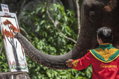 Elephant being forced to paint a picture