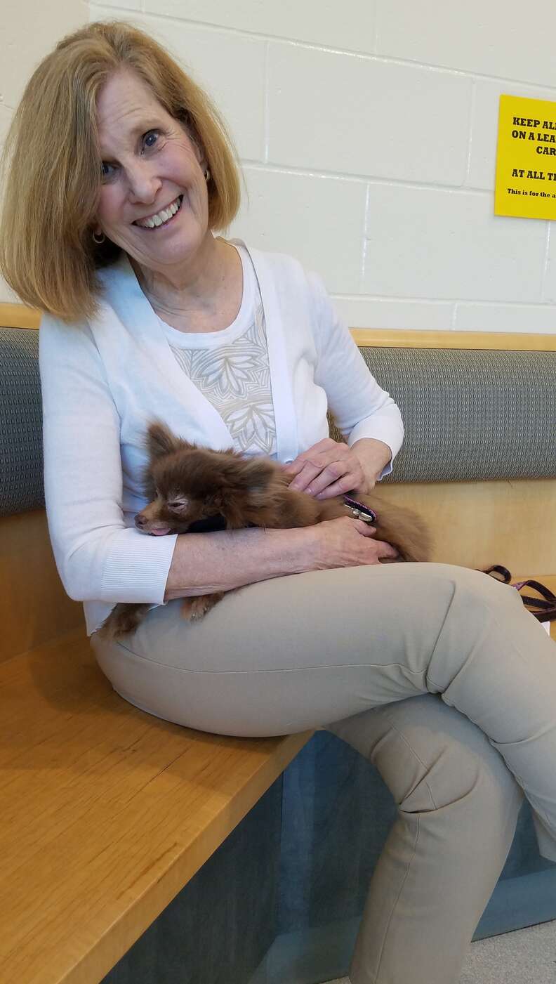 Jan the dog with her adopter Judy Armour