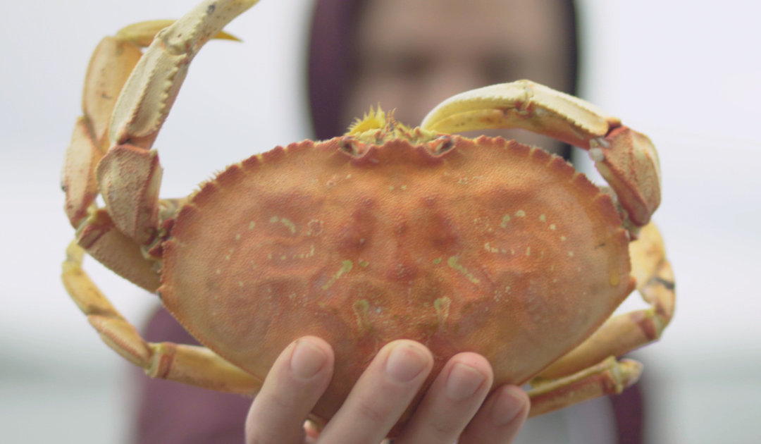 Learn How To Catch Fresh Crab Along The Oregon Coast Thrillist