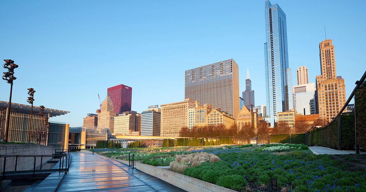 11 Things You Have to Do in Chicago in the Summer Thrillist