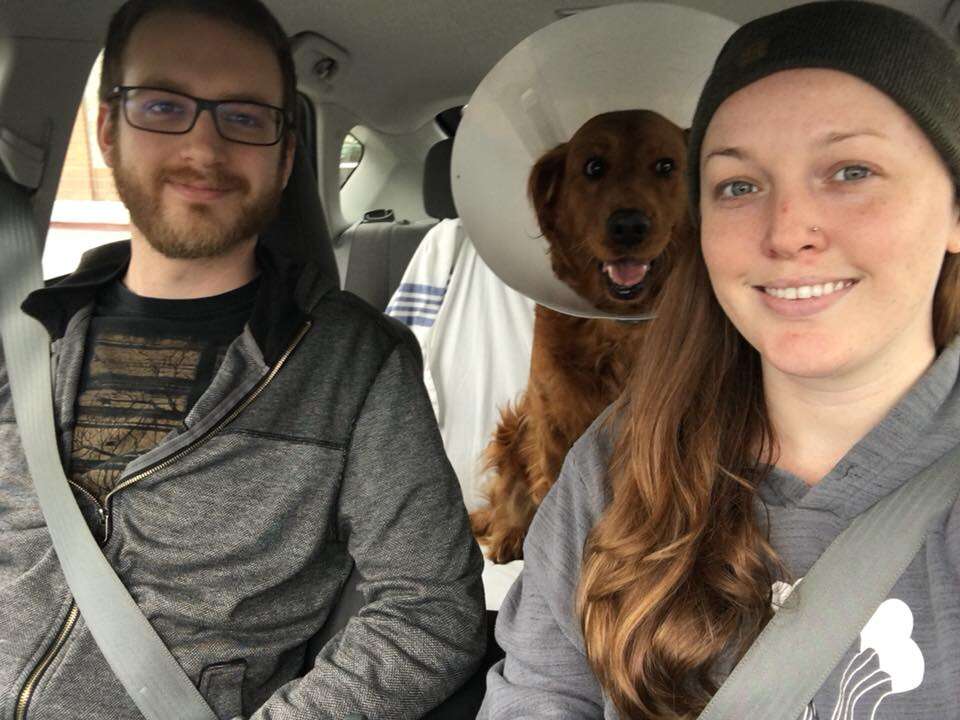 Golden retriever riding in the back of car with two people