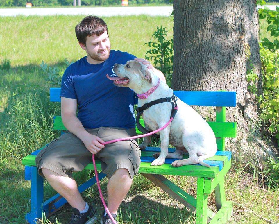 Dog sitting on bench with man