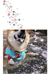 I Saw You Tweeting Some Depressed Stuff Are You Ok Me Yeah Of