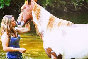 Woman Adopts A Wild Horse And Makes Him Her Best Friend