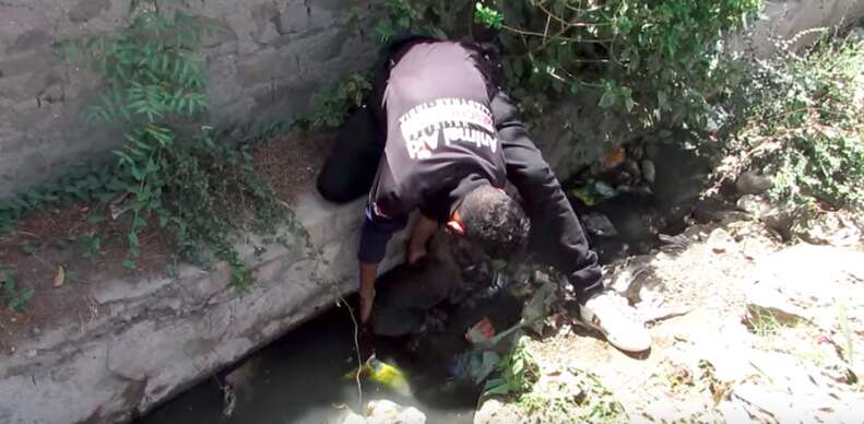 dog falls into well