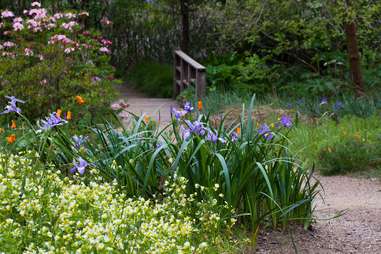 botanical garden
