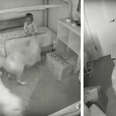 Dogs Help Toddler Escape Her Room So She Can Give Them Snacks