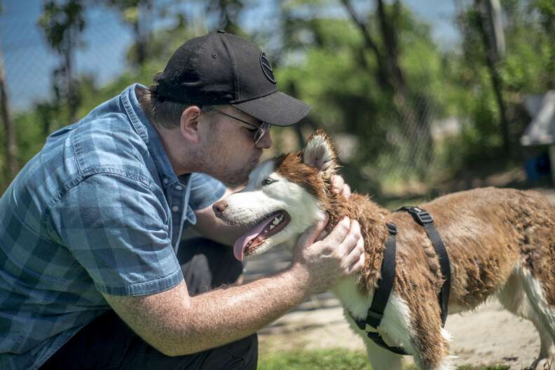 Man kissing rescued husky