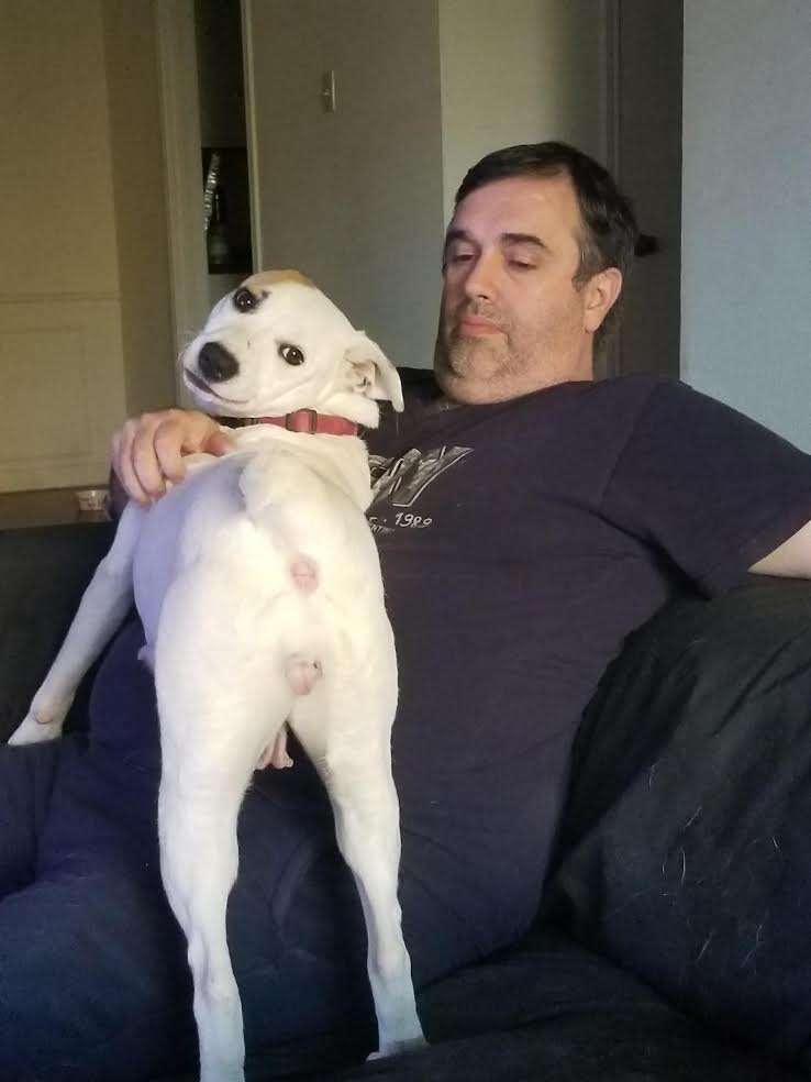 Dog sitting on man's lap