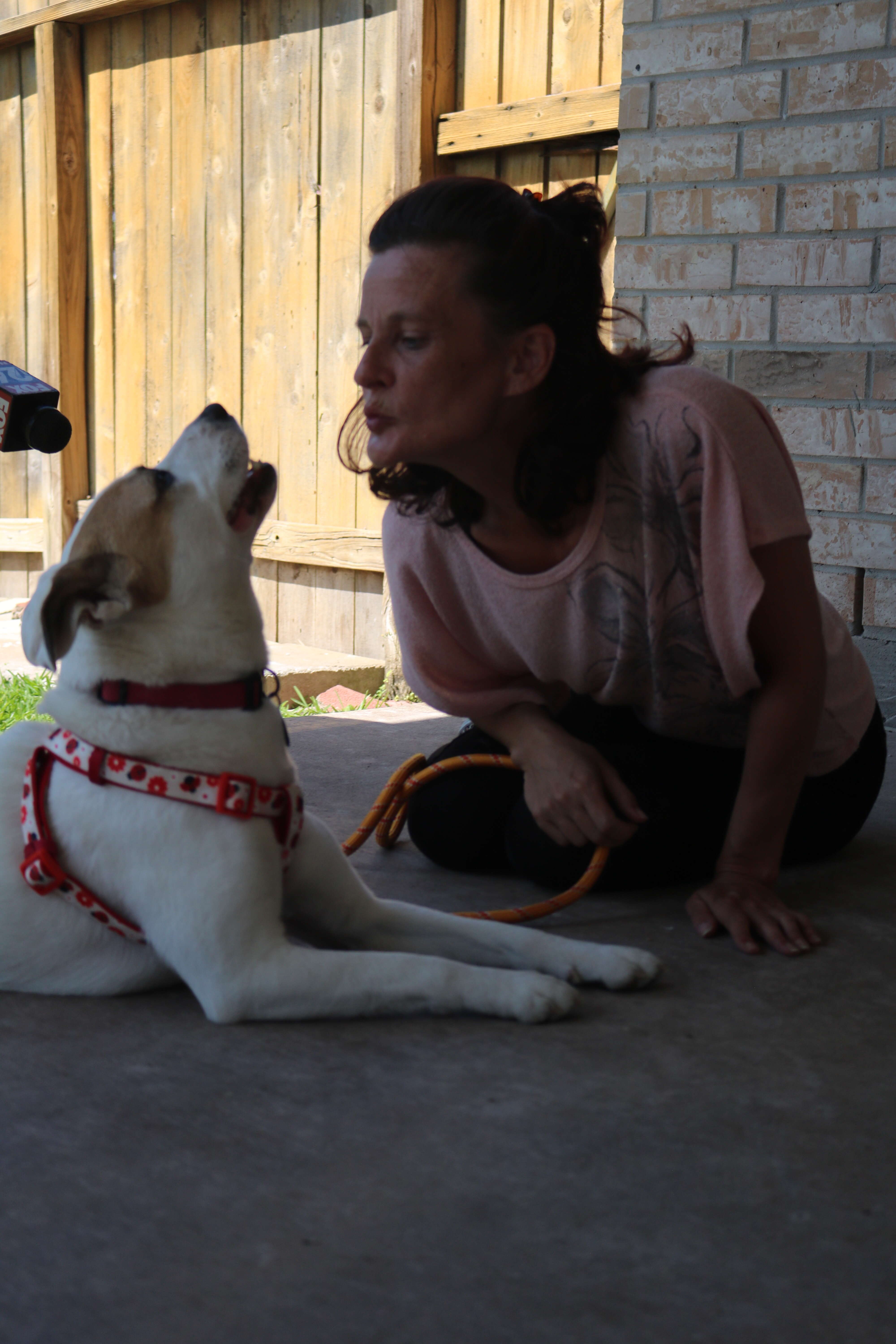 Woman getting ready to kiss dog