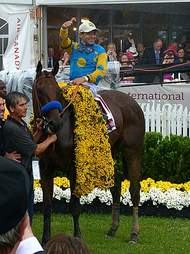 American Pharoah winner of the Triple Crown