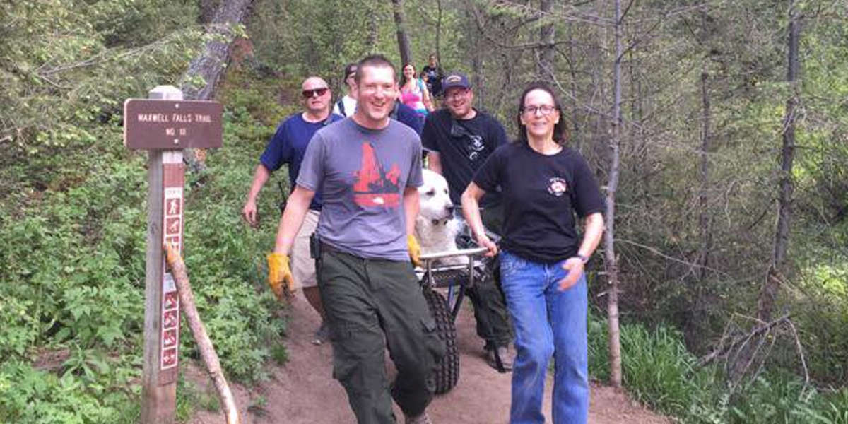 Dog Rescued From Hiking Trail After Getting Too Tired To Finish - The Dodo