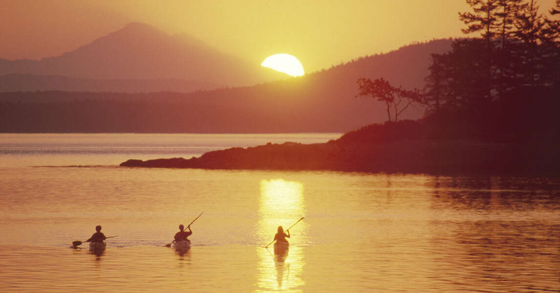 Where to Find Kayak Brewery Tours Thrillist