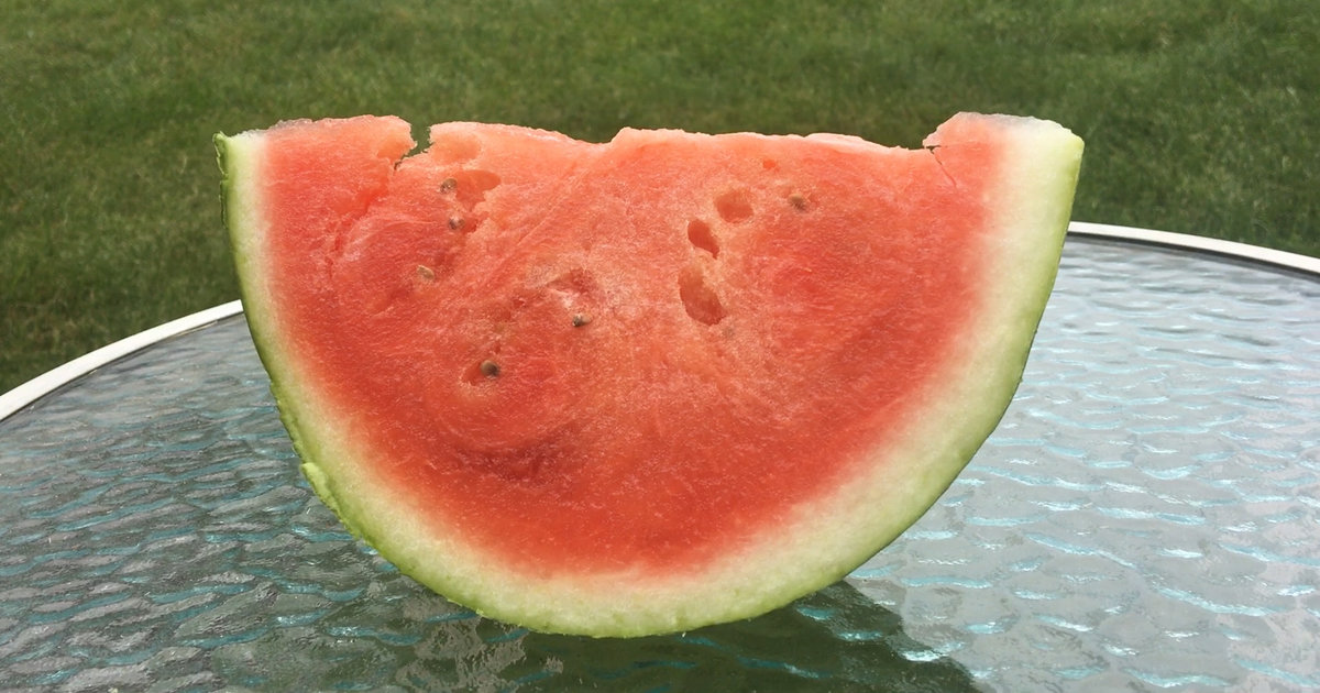 Watermelon Sends 31 to Hospital with Salmonella Poisoning NowThis