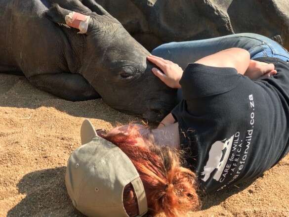 Rescuer with orphaned baby rhino