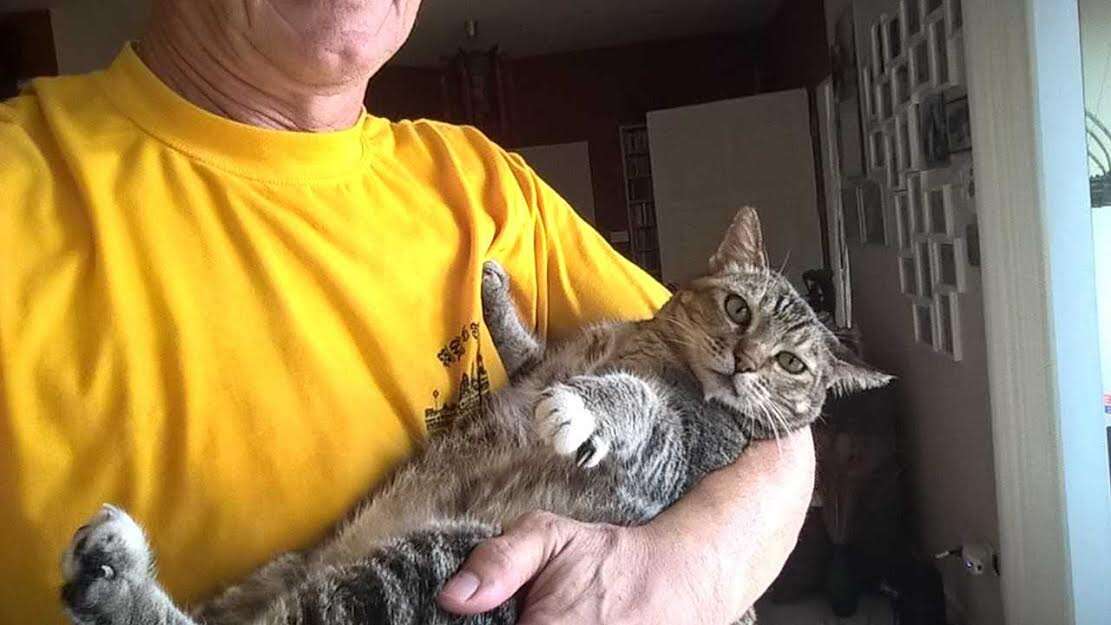 Man holding cat in his arms