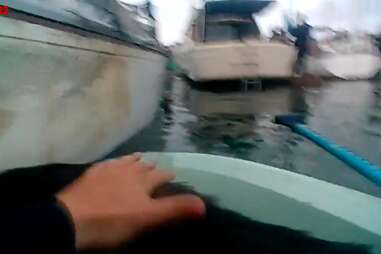 Dog being rescued from burning boat