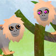 These Male Monkeys Babysit For a Shot at Sexy Time