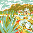 10 Questions About Tequila, Answered