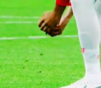 西班牙的Gerard Pique从世界杯球场拯救小鸟