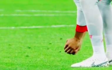 Spain's Gerard Pique saving bird from World Cup pitch