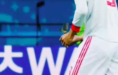 Spain's Gerard Pique saving bird from World Cup pitch