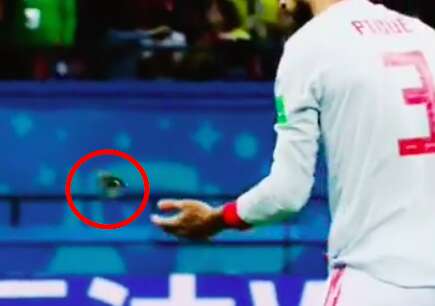 Spain's Gerard Pique saving bird from World Cup pitch