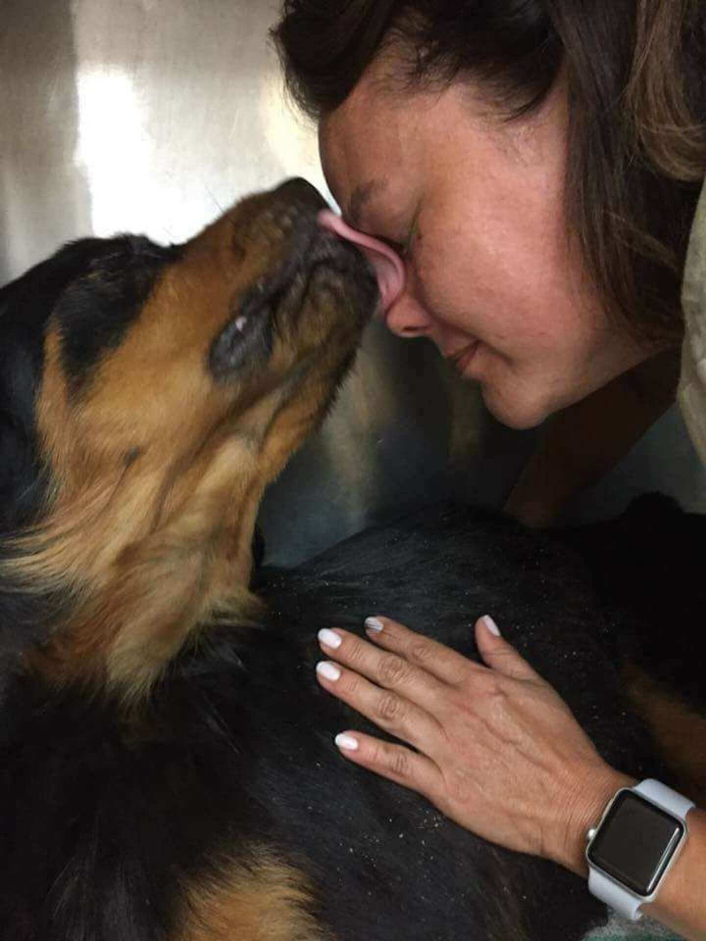 People Thought Rottweiler Abandoned At Dumpster Would Never Walk Again ...