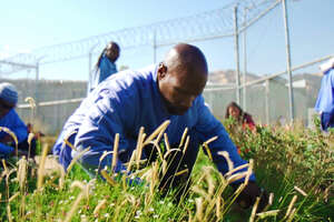 Could Meditation and Gardening Break The Cycle of Prison Recidivism?
