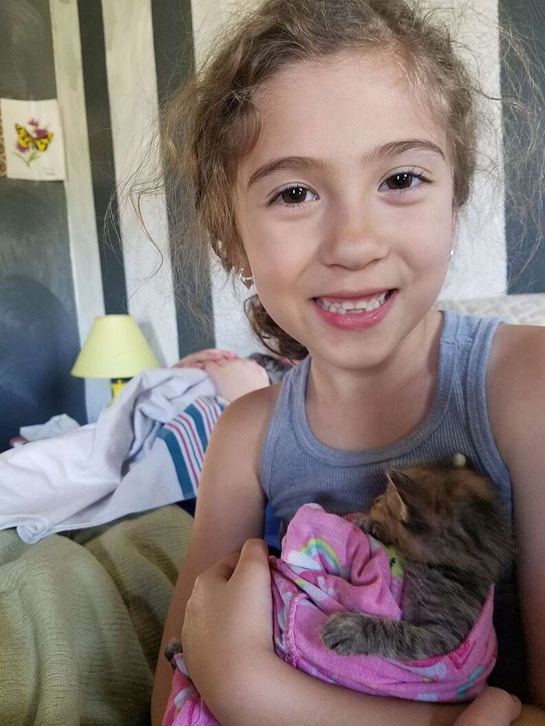 Girl Bursts Into Tears Reuniting With Foster Kitten She Raised - The Dodo