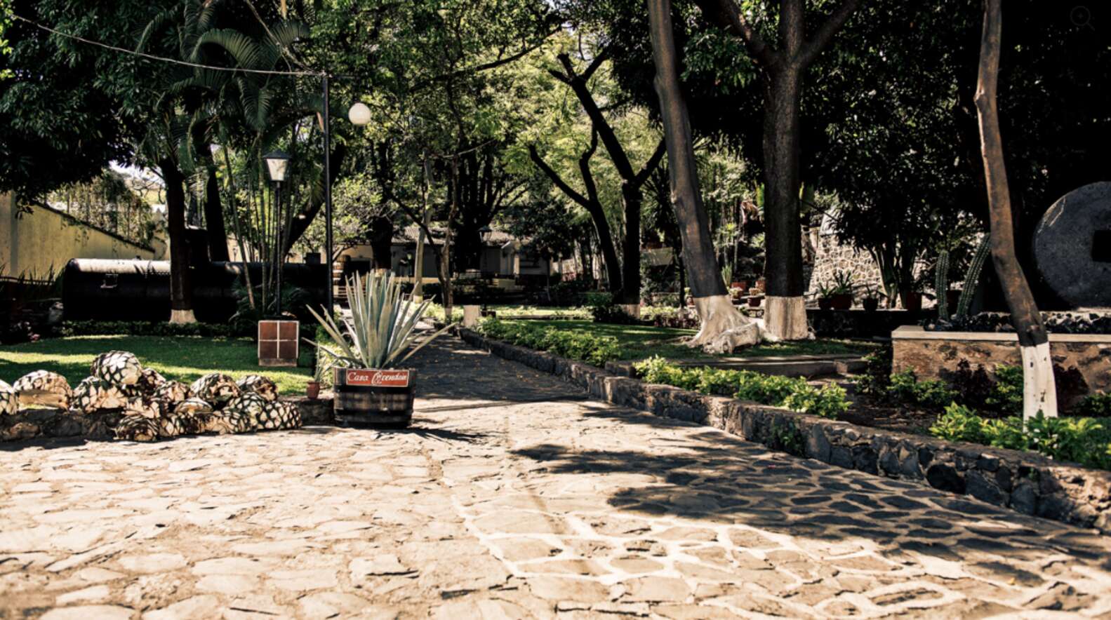 Best Tequila Distilleries To Visit - Thrillist