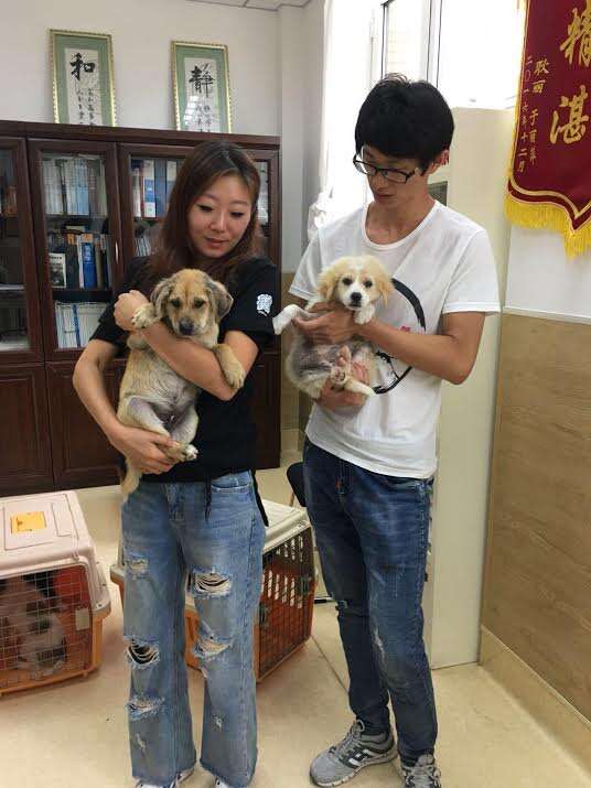 People holding rescued dogs