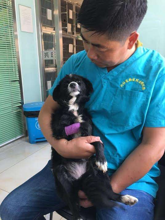 Man holding tiny puppy in his arms