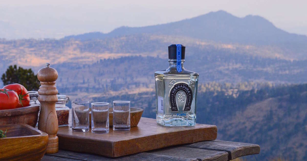Best Tequila Distilleries to Visit Thrillist