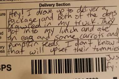 Postal worker's note about dogs eating lunch