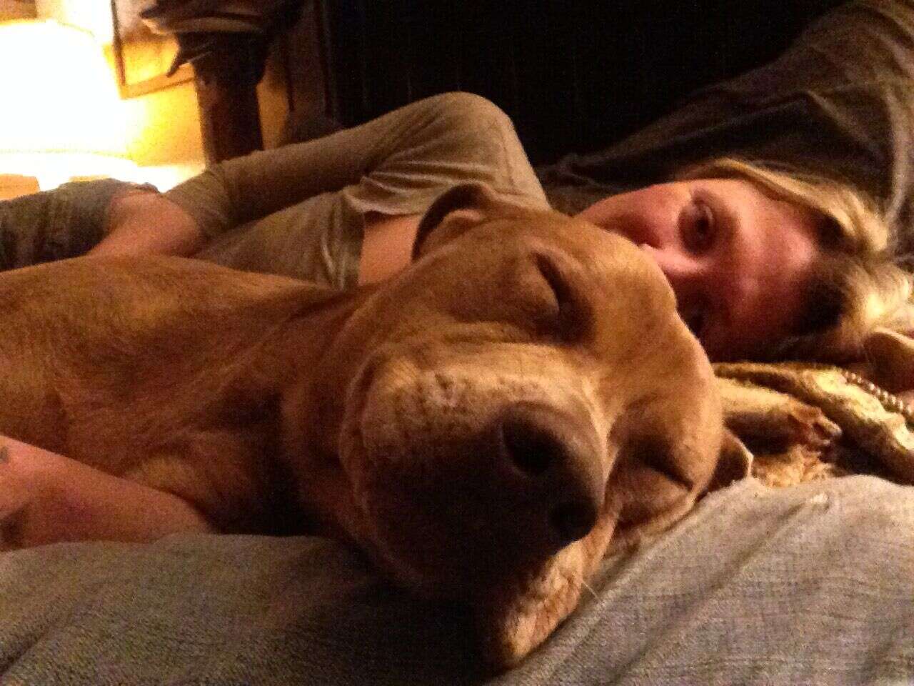 Dog cuddling with woman
