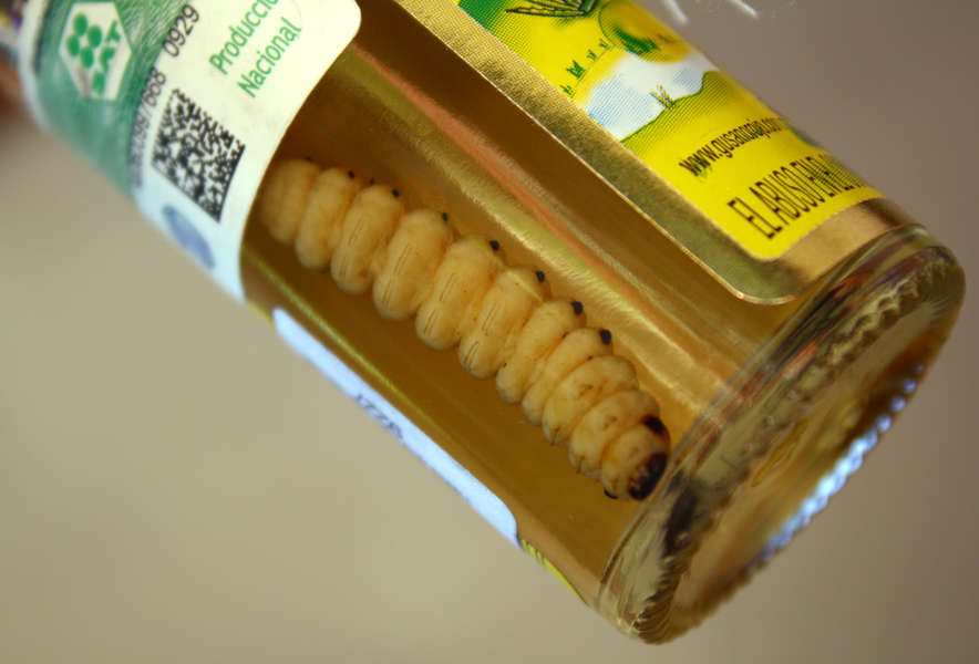 mezcal worm in the bottle