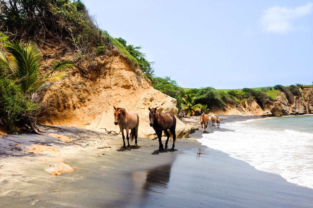 Best Beaches In Puerto Rico To Visit Right Now Thrillist